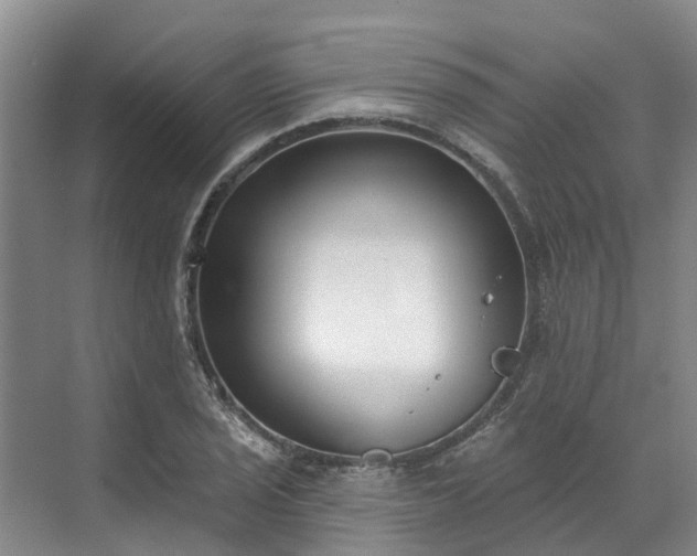 X0000071771029200607071256