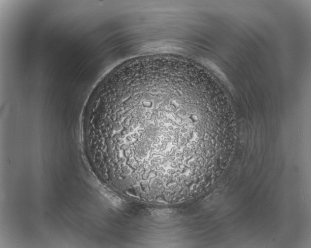 X0000071771031200607071256