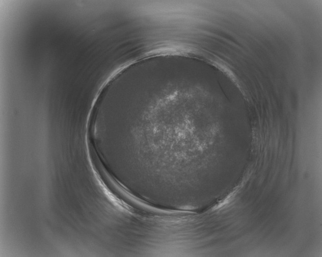 X0000071771034200607071256