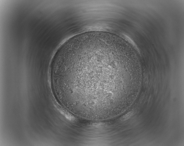 X0000071771035200607071256