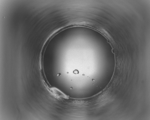 X0000071771036200607071256