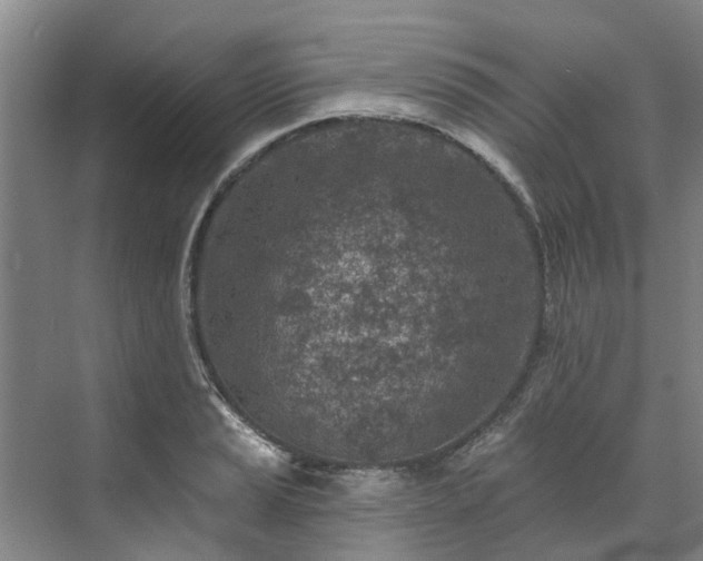 X0000071771037200607071256