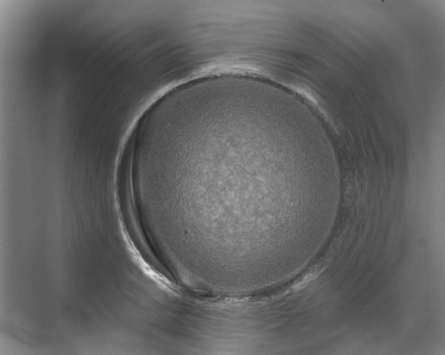 X0000071771038200607071256