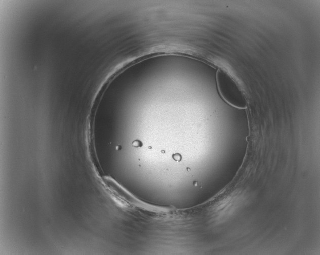 X0000071771040200607071256