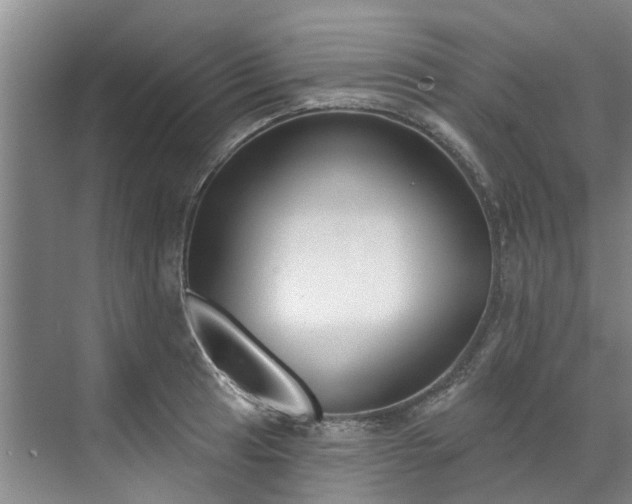 X0000071771041200607071256