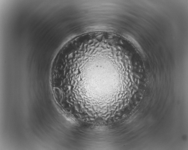 X0000071771043200607071256