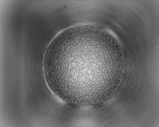 X0000071771055200607071257