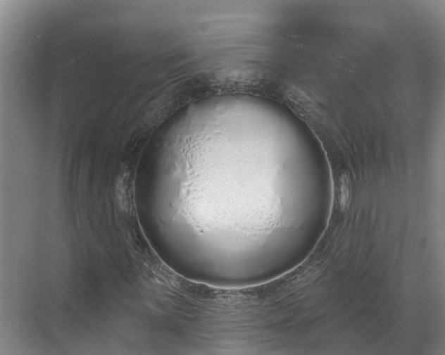 X0000071771059200607071256