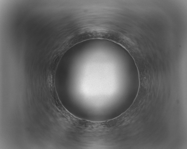 X0000071771061200607071256