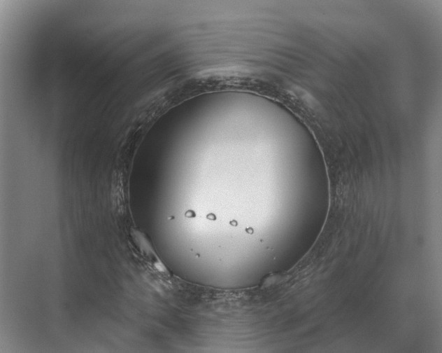 X0000071771062200607071256