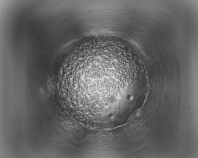 X0000071771063200607071256