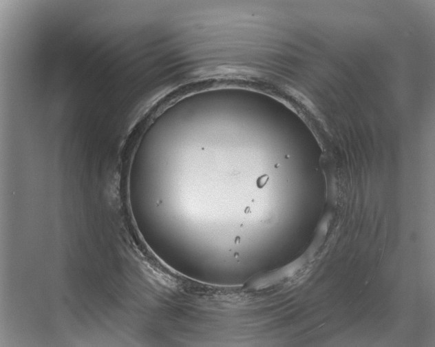 X0000071771066200607071256