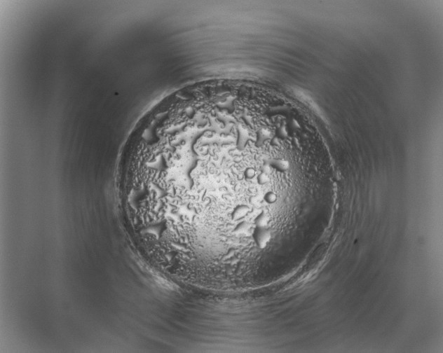 X0000071771071200607071256