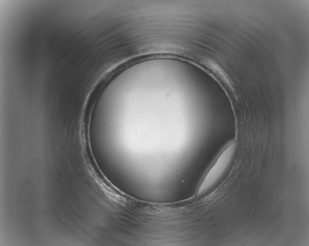 X0000071771072200607071256