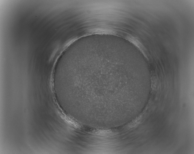 X0000071771074200607071255