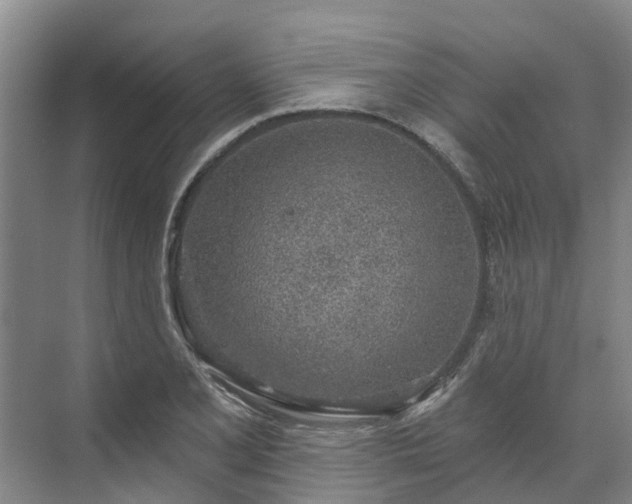 X0000071771077200607071255