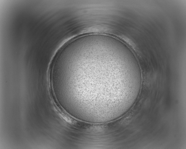 X0000071771078200607071255