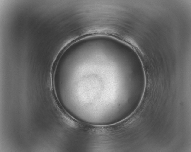 X0000071771079200607071255