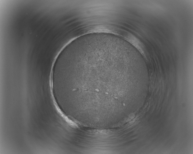 X0000071771084200607071255