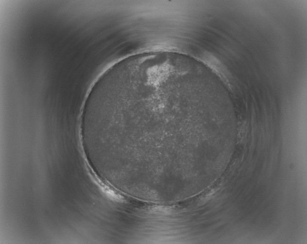 X0000071771086200607071255