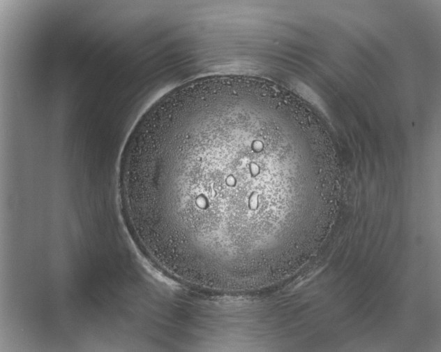 X0000071771087200607071255