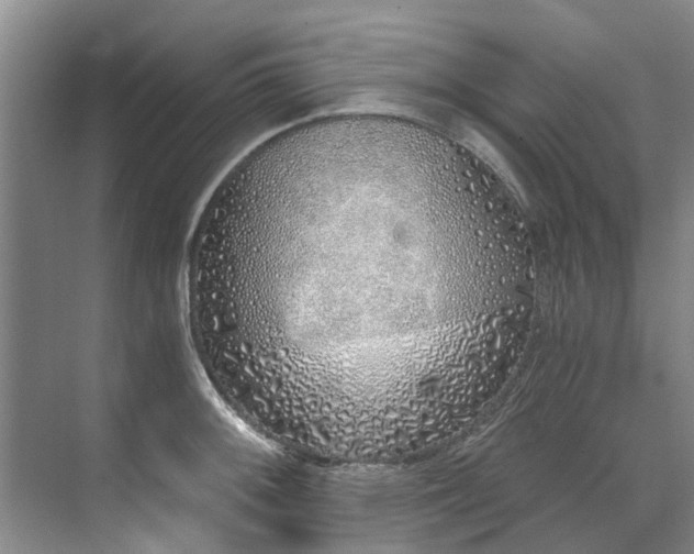 X0000071771092200607071255