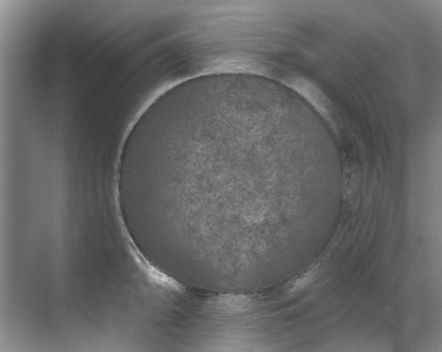 X0000071771094200607071255