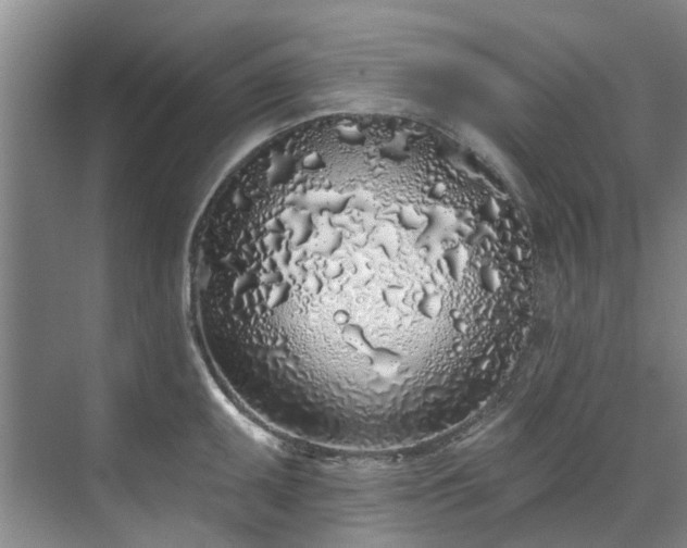 X0000071771095200607071255