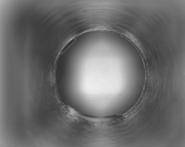 X0000071771097200607071255