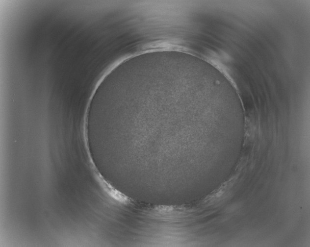 X0000071771098200607071255