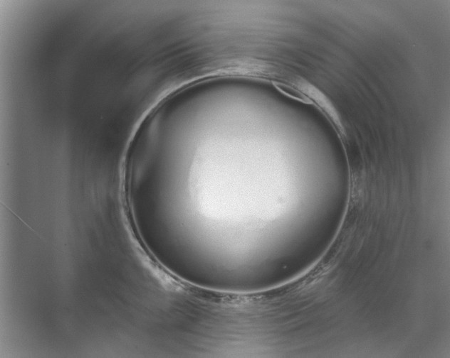 X0000071771099200607071255