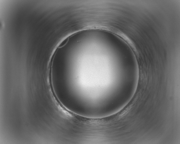 X0000071771102200607071255