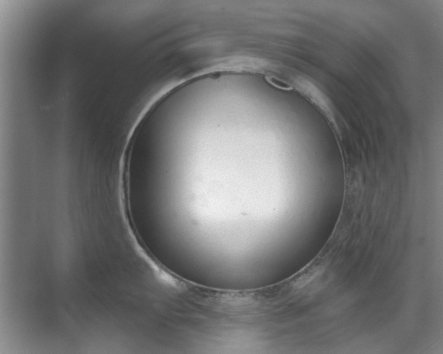 X0000071771103200607071255