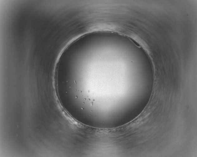 X0000071771104200607071255