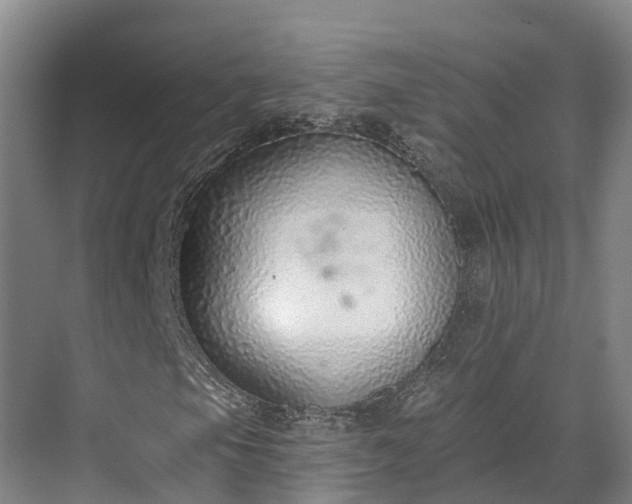 X0000071771105200607071254