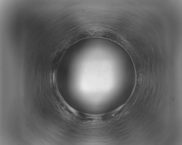 X0000071771108200607071254