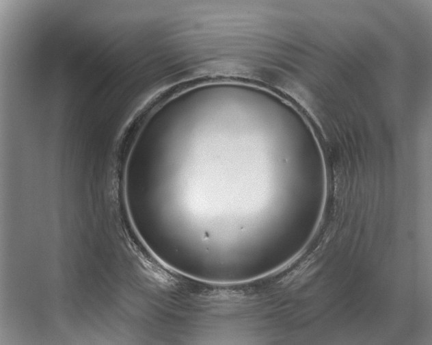 X0000071771115200607071254