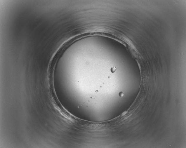 X0000071771116200607071254