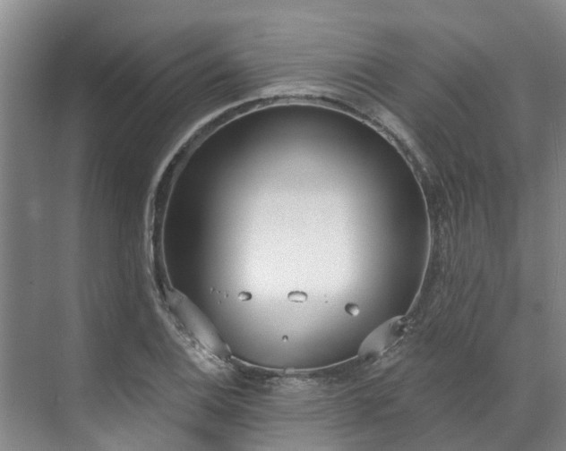 X0000071771124200607071255