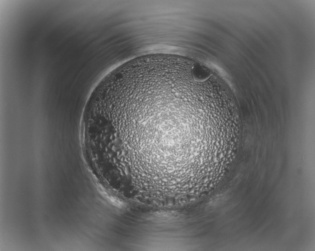 X0000071771125200607071255