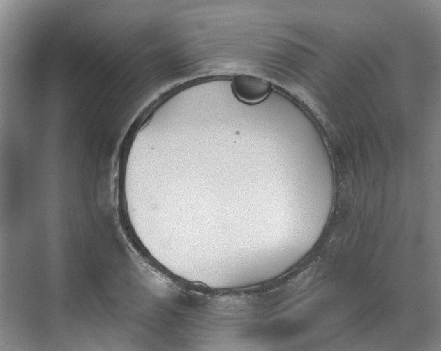 X0000071771126200607071255