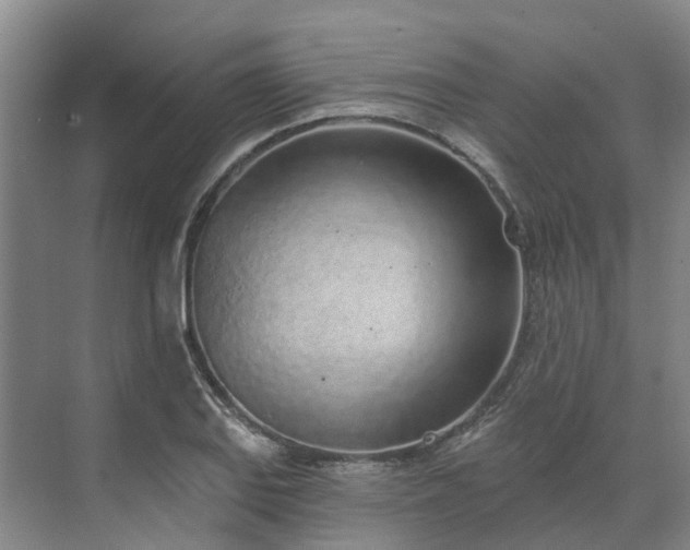 X0000071771127200607071255