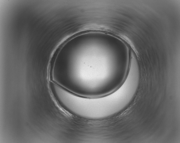 X0000071771128200607071255