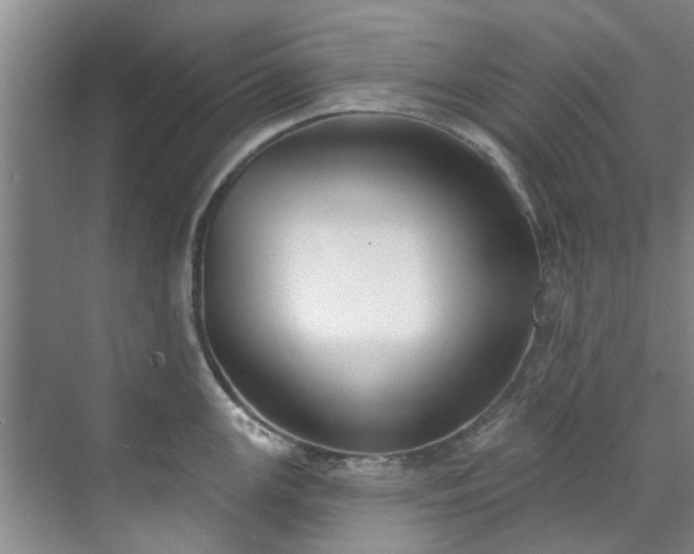 X0000071771147200607071255