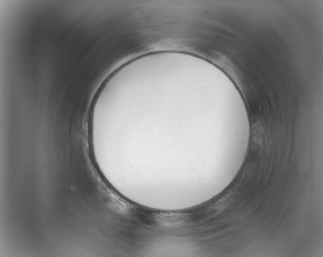 X0000071771150200607071255