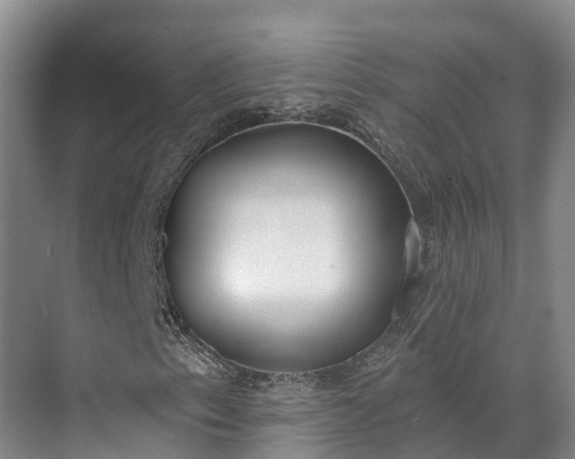 X0000071771153200607071254