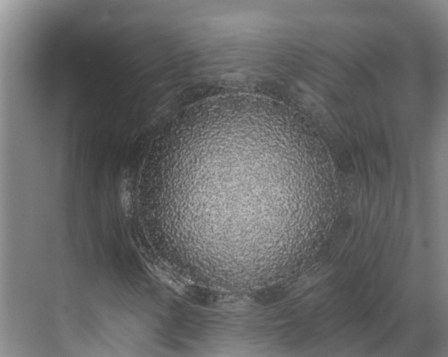 X0000071771154200607071254