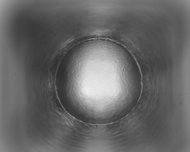 X0000071771158200607071254