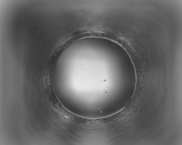 X0000071771159200607071254