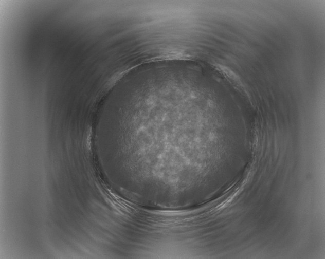 X0000071771161200607071254